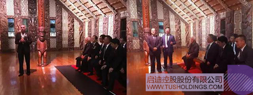 PP电子·(中国)官方网站