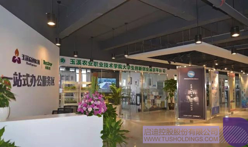 PP电子·(中国)官方网站