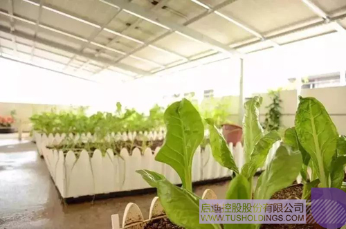 PP电子·(中国)官方网站