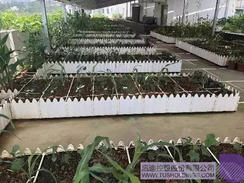 PP电子·(中国)官方网站