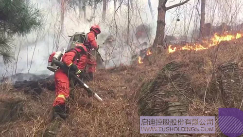 PP电子·(中国)官方网站