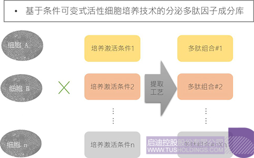 PP电子·(中国)官方网站
