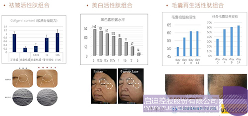 PP电子·(中国)官方网站
