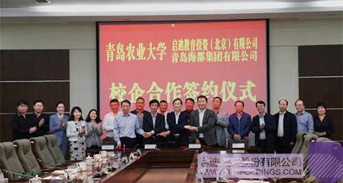PP电子·(中国)官方网站