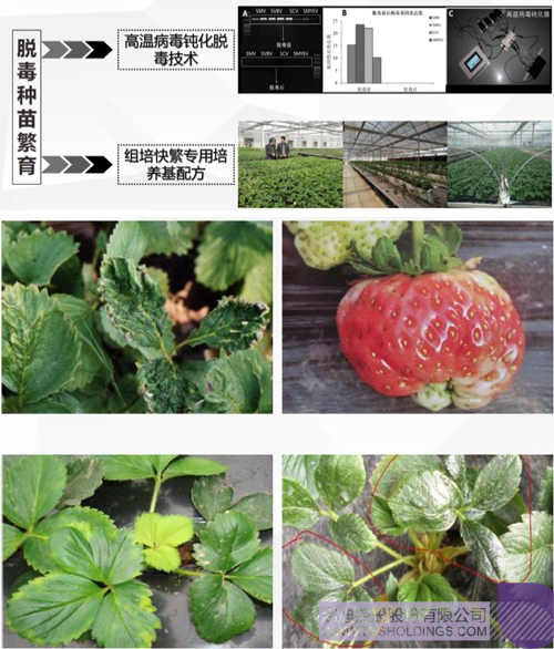 PP电子·(中国)官方网站
