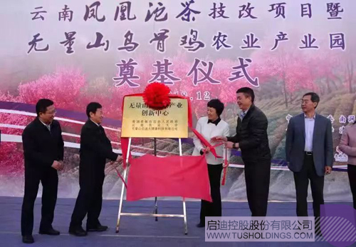 PP电子·(中国)官方网站