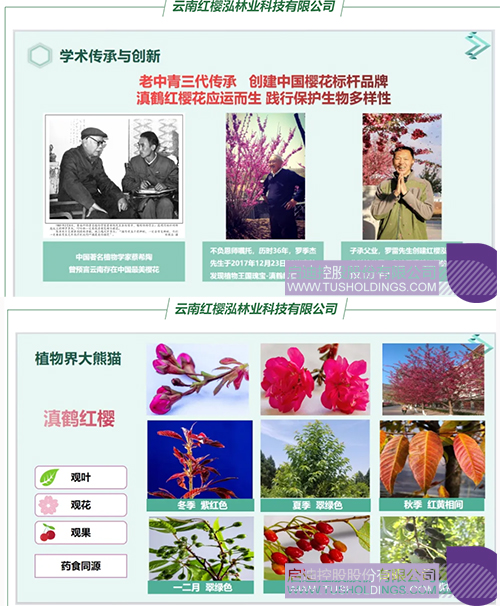 未问题-1cc.jpg